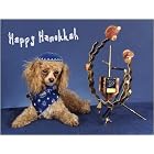 Pet Star Hanukkah Cards - Poodle with Dreidel by  Pet Star Photography