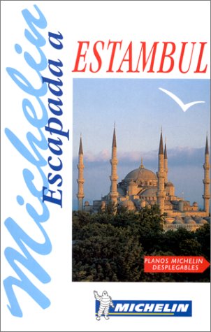 City Travel Guides Discounted  Livres : Estambul (en espagnol)