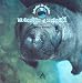 Mi amigo el manati (Animales de America) (Spanish Edition)