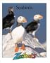 Seabirds (Zoobooks Series)