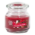 Yankee Candle&reg; Home Classics Jar Candle - Holly and Red Berry (7 oz)