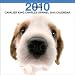 Cavalier king Charles Spaniel 2010 Square Wall ARTLIST (Artlist Collection the Dog) (Multilingual Edition)