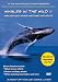 Whales in the Wild II: New England Whale Watching Highlights