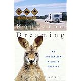 kangaroo dreaming an australian wildlife odyssey