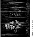Ansel Adams at 100