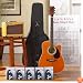 Esteban Master Class Acoustic/Electric Guitar Set- Tan