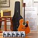 Esteban Master Class Acoustic/Electric Guitar Set- Tan