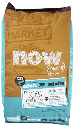 fresh market now dog food