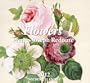 Flowers 2012 Calendar (Tear Offs)