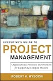 Executives Guide to Project Management: Organizational Processes and Practices for Supporting Complex Projects