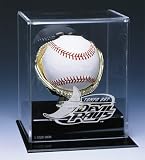 TAMPA BAY RAYS OFFICIAL AUTOGRAPH BASEBALL DISPLAY CASE