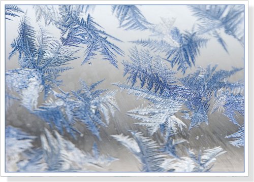 Jack Frost Deluxe Holiday Boxed Cards (Christmas Cards, Holiday Cards, Greeting Cards)