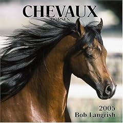 Chevaux/horses Mini 2005 Calendar