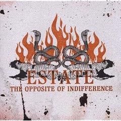 The Opposite of Indifference