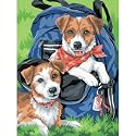 Back Pack Buddies PBN