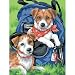 Back Pack Buddies PBN