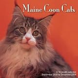 Maine Coon Cats 2009 Wall Calendar 12 X 12