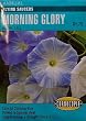 Morning Glory Flying Saucers Seeds