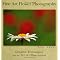 try Macro Photography