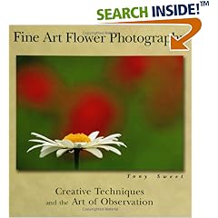 Fine Art Flower Photography: Creative Techniques And The Art Of Observation