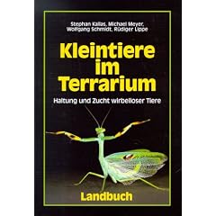 Kleintiere im Terrarium. Haltung und Zucht wirbelloser Tiere