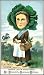 Cabbage Woman - A Flat Dutch Cabbage