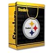 NFL Pittsburgh Steelers Gift Bag, Medium