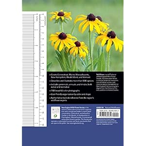 Wildflowers of New England: Timber Press Field Guide (A Timber Press Field Guide)
