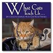 What Cats Teach Us...: Life's Lessons Learned from Our Feline Friends