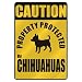 chihuahua11  - CAUTION PROPERTY PROTECTED BY CHIHUAHUAS PARKING SIGN DOG