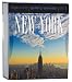 New York Gallery Calendar 2010