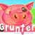 Grunter: The Story of a Pig with Attitude