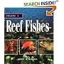 Reef Fishes Volume 1