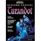 Puccini - Turandot Conductor: Donald Runnicles, Starring: E. Marton and M. Sylvester - San... by Eva Marton, Michael Sylvester, Lucia Mazzaria, Kevin Langan, and Theodore Baerg