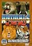 Animals in the Wild 1-5
