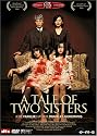 A Tale of Two Sisters (Einzel-DVD)