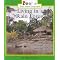 teach a unit on the rain forest
