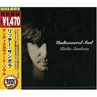 Click here to buy Undiscovered Soul by Richie Sambora .