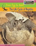 The Life Cycle of Reptiles: From Egg to Adult : From Egg to Adult (Heinemann Infosearch)