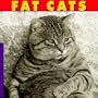 Fat Cats