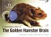 Stereotaxic Atlas of the Golden Hamster Brain (Book with CD-ROM)