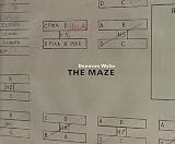 Donovan Wylie: The Maze