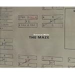 Donovan Wylie: The Maze book cover