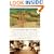 Fallingwater Rising: Frank Lloyd Wright, E. J. Kaufmann, and America's Most Extraordinary House