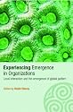 Experiencing Emergence in Organizations (Complexity as the Experience of Organizing)