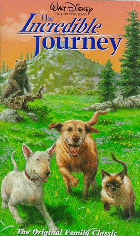 Incredible Journey, the