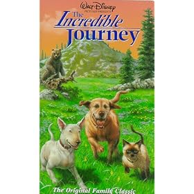 Incredible Journey [VHS]