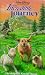 VHS : Incredible Journey