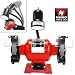Neiko Professional Grade 6 Inch Bench Grinder with Flexible Light