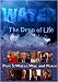 Water, The Drop of Life: Water, War, and Peace